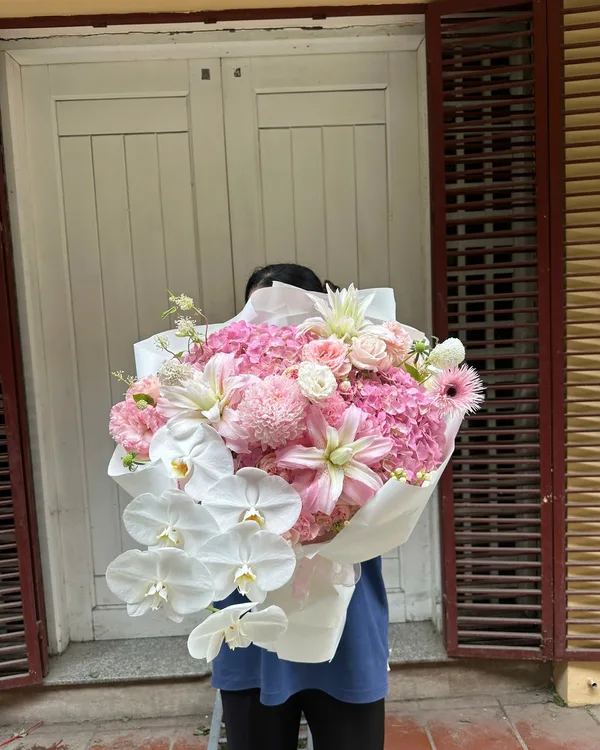 Trắng hồng · Lan hồ điệp