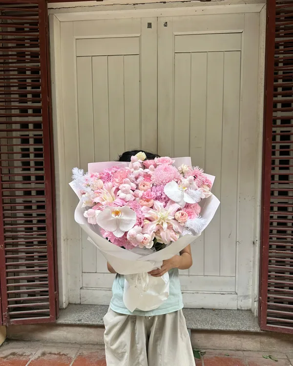 Hồng phấn · Hồng