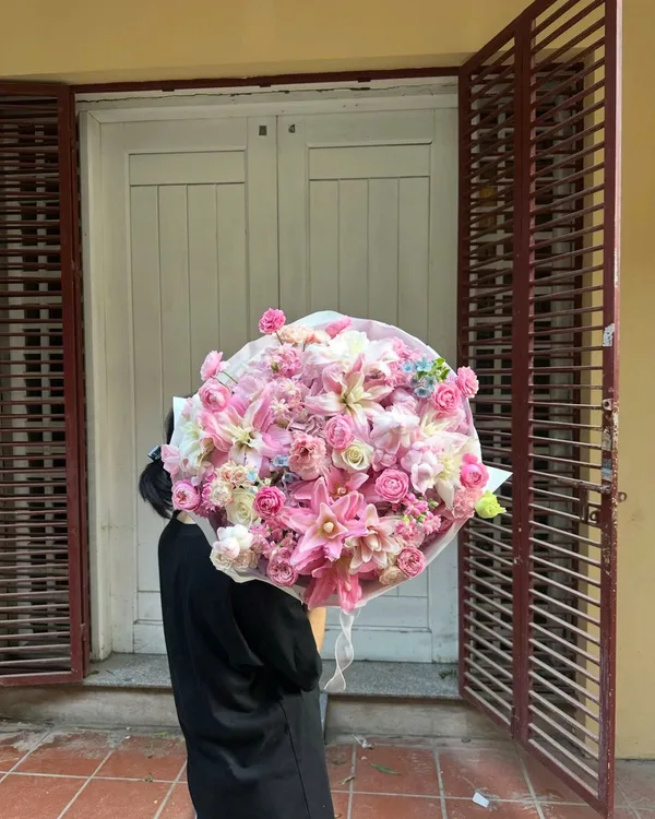 Hồng phấn · Cẩm chướng