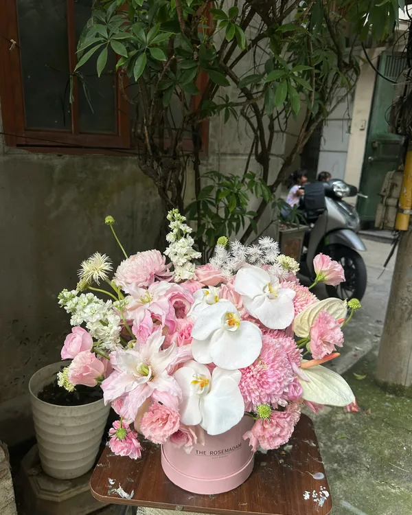 Hồng trắng · Lan hồ điệp