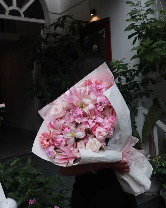 Hồng · Cẩm chướng