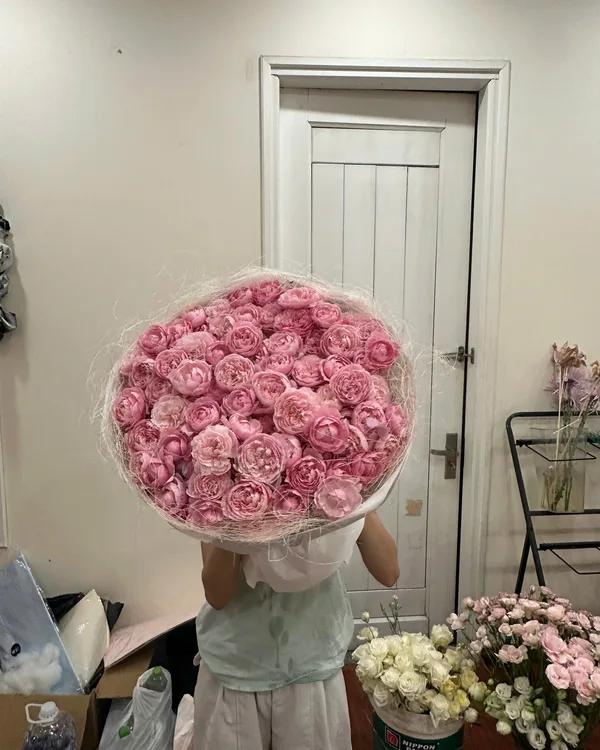 Hồng phấn · Hồng