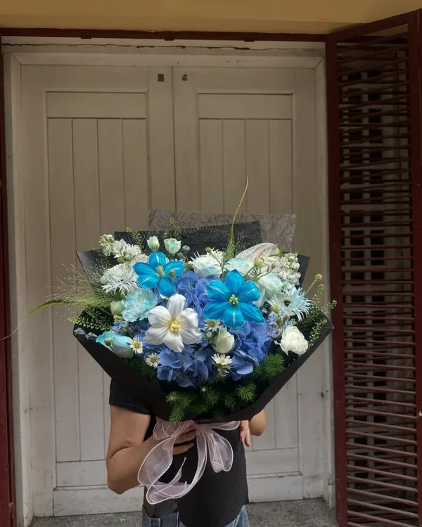 Xanh dương · Hồng