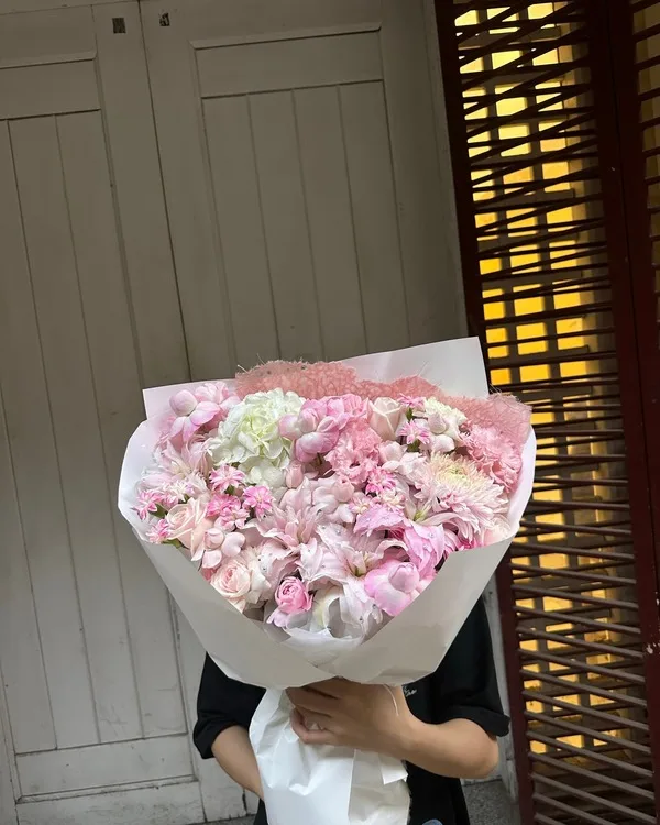 Hồng phấn · Cẩm chướng