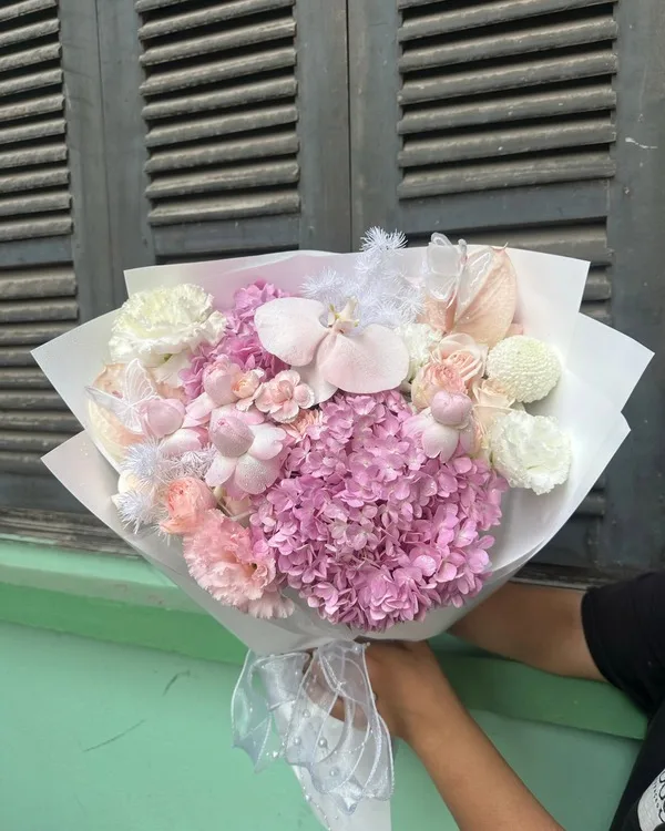 Hồng · Cẩm tú cầu