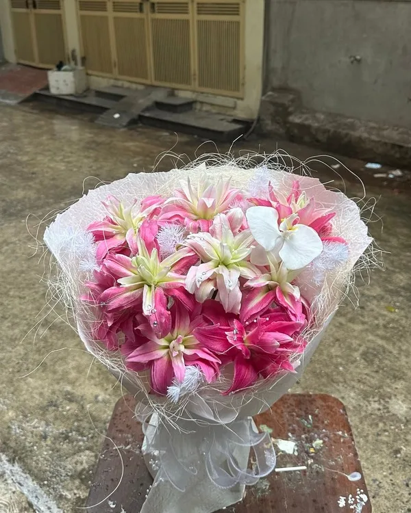 Hồng sen · Lily
