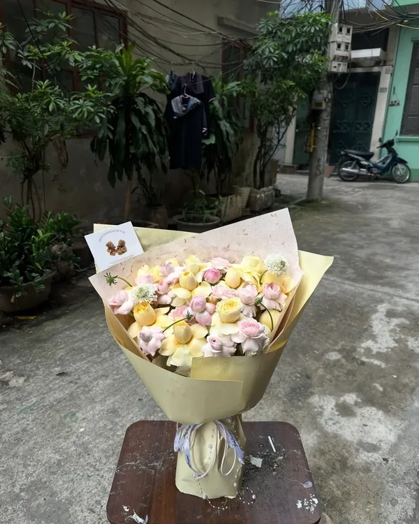 Kem vàng · Cúc