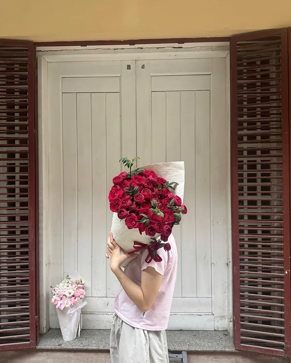 Đỏ · Hồng nhung mini
