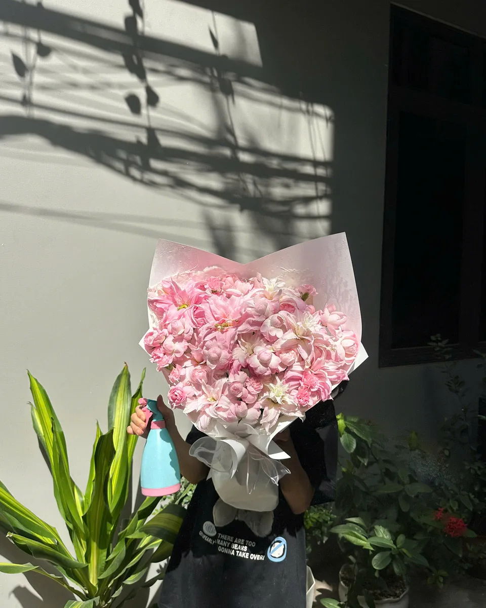 Hồng phấn · Cẩm tú cầu