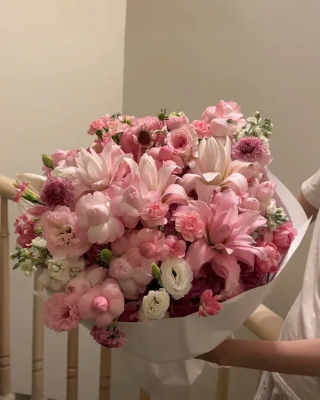 Hồng phấn · Mao lương