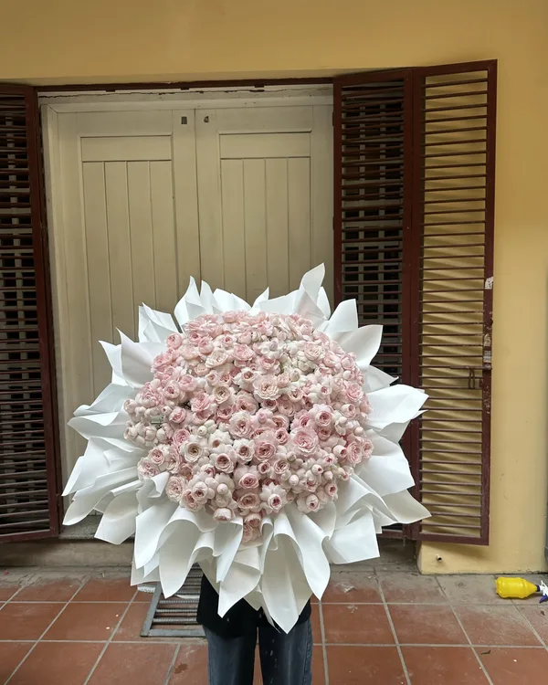 Hồng phấn · Giấy cánh trắng