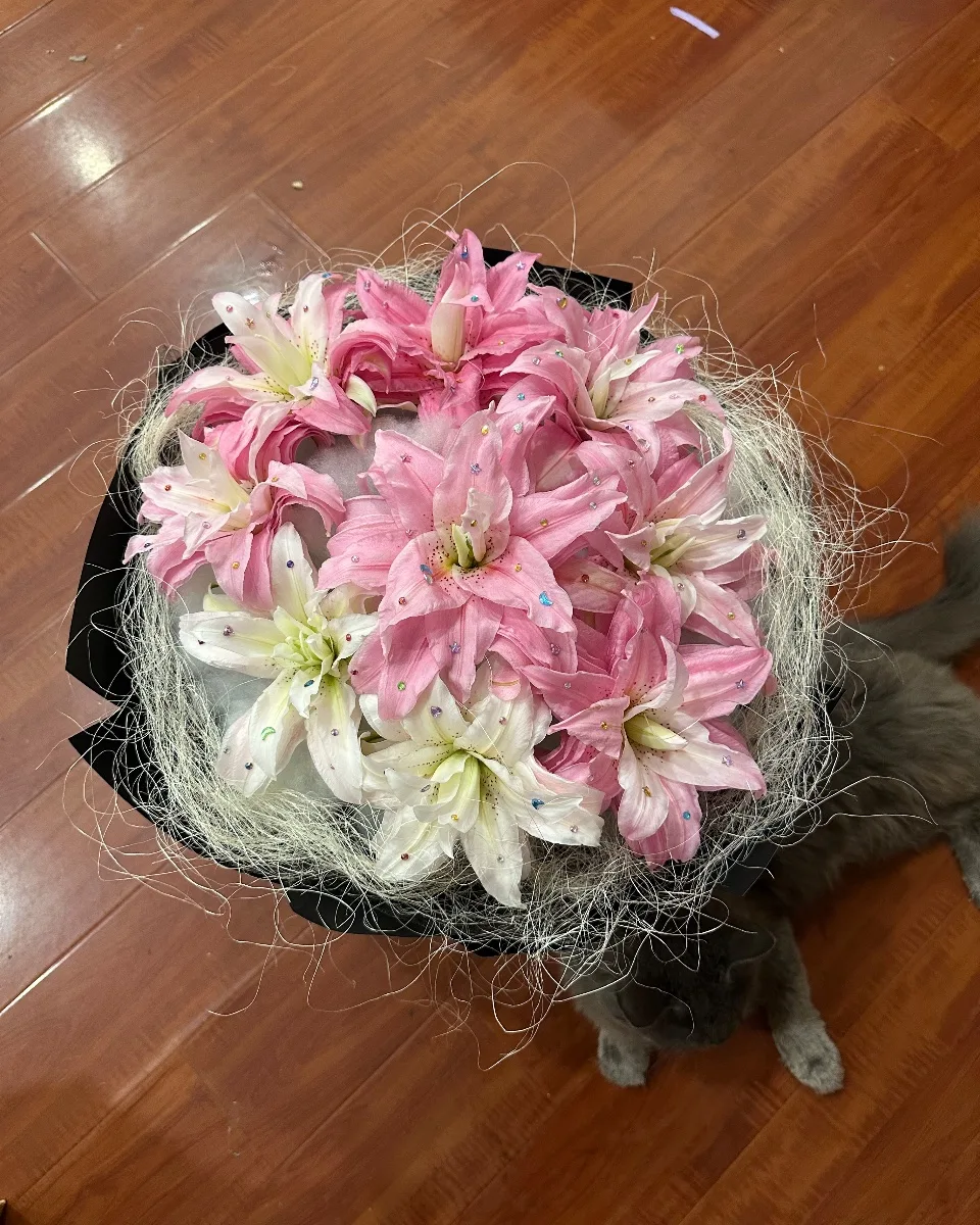 Lily