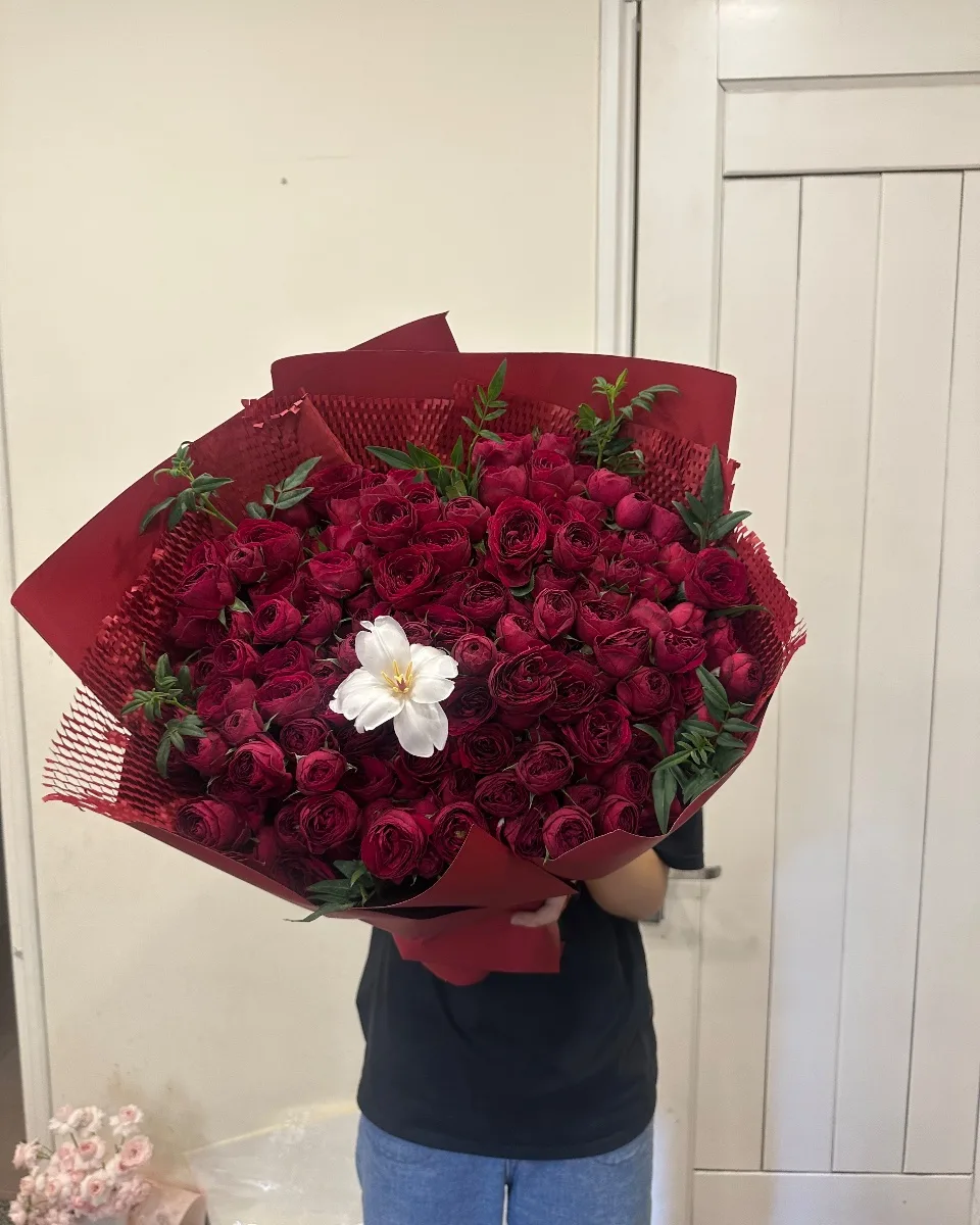 Red Lace mix Tulip size lớn