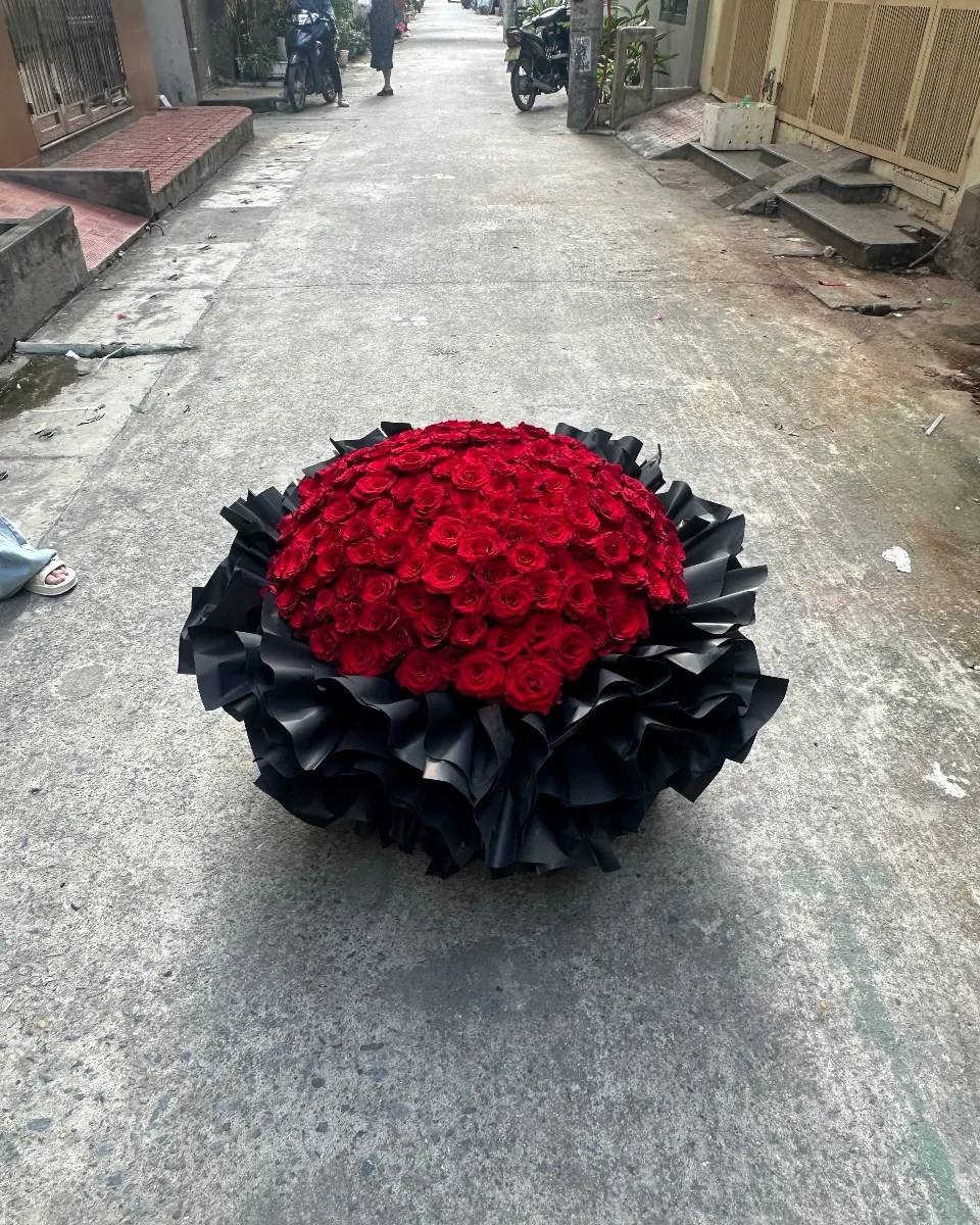 200 bông ecu
