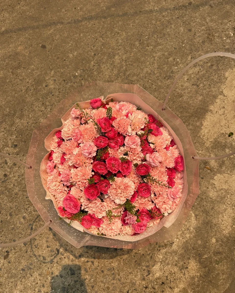 Sofia mix phăng size lớn
